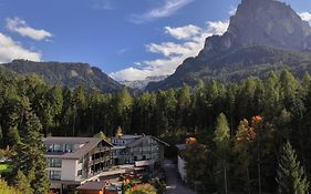 Waldrast - Forestside Living